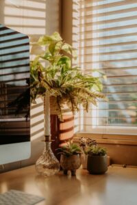 resized_91263
